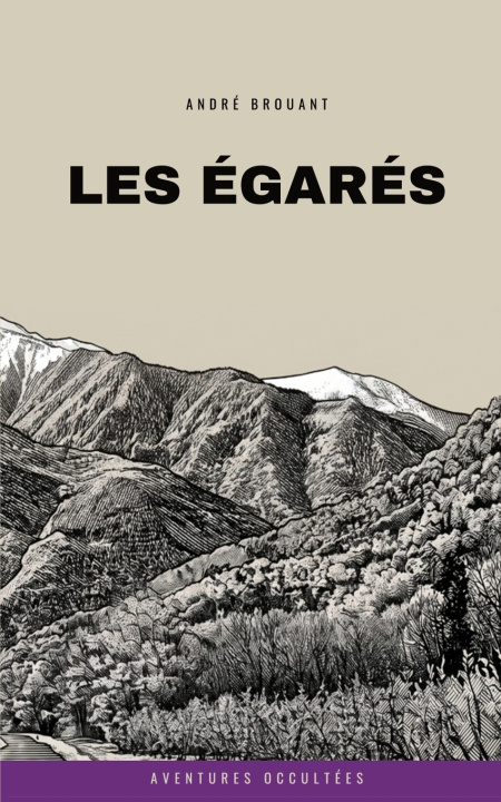Kniha Les égarés André Brouant