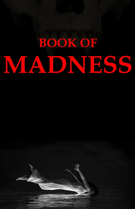 Knjiga Book of Madness Michael J Bertolini