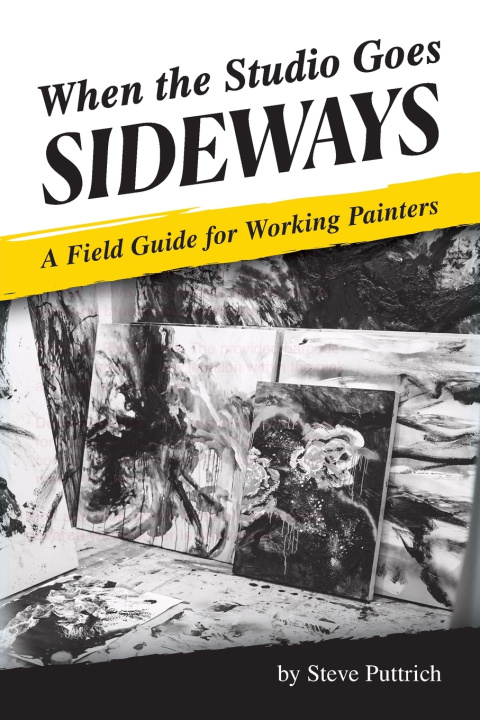 Kniha When the Studio Goes Sideways Stephen Puttrich