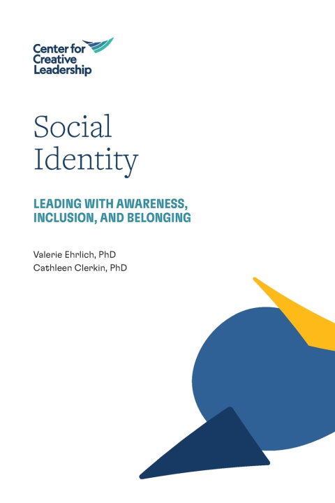 Knjiga Social Identity Valerie Ehrlich