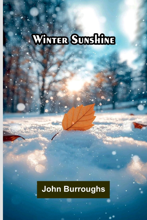 Kniha Winter Sunshine John Burroughs