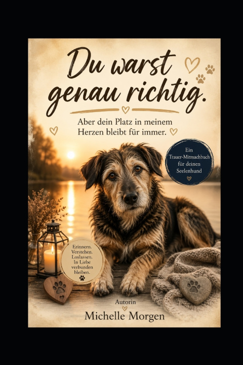 Livro Du warst genau richtig Michelle Morgen