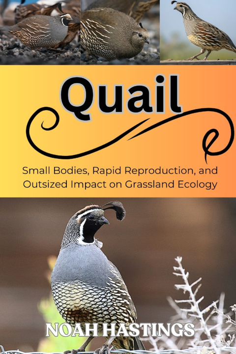 Könyv QUAIL NOAH HASTINGS