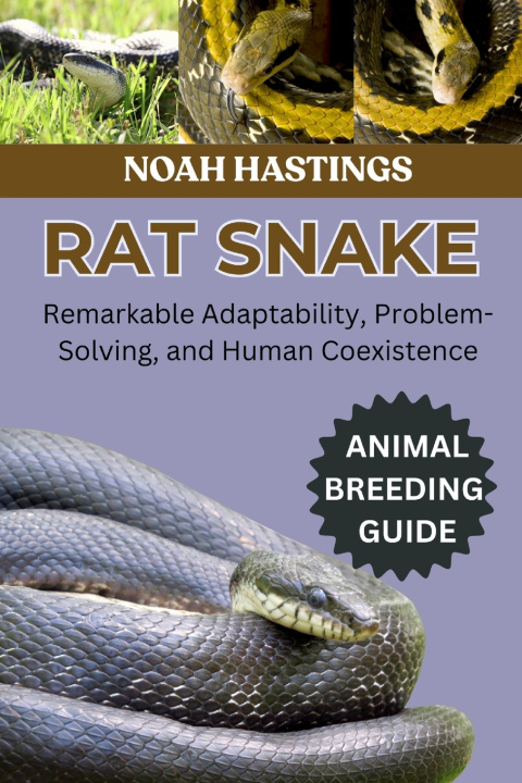 Kniha RAT SNAKE NOAH HASTINGS