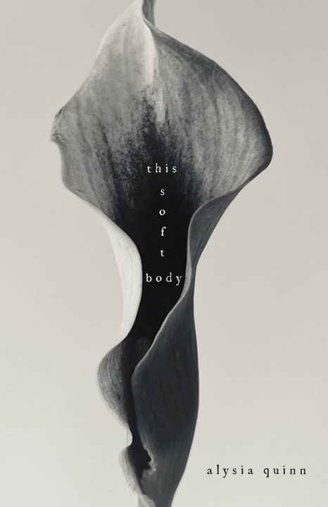Kniha this soft body Alysia Quinn