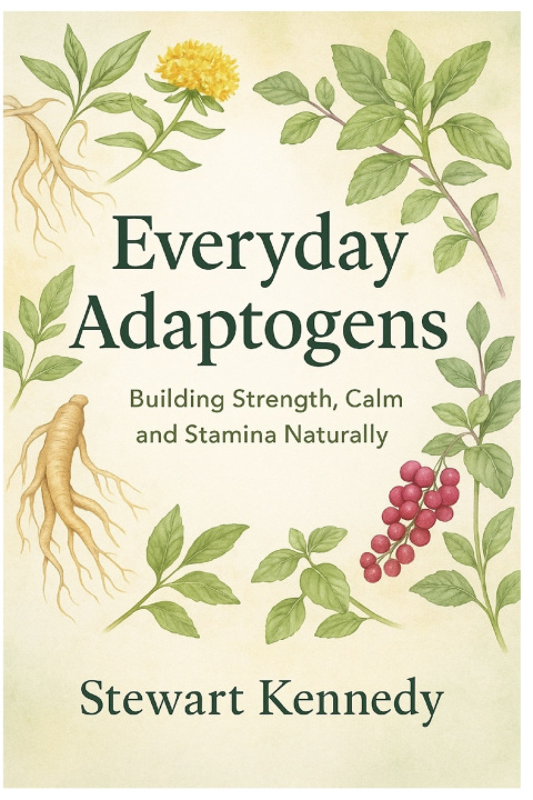Kniha Everyday Adaptogens Stewart Kennedy