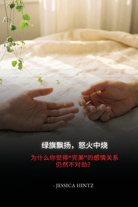 Buch 绿旗飘扬，怒火中烧 Jessica Hintz