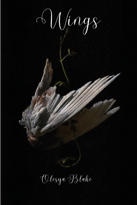 Knjiga Wings Olesya Blake