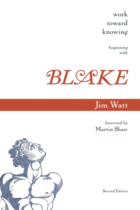 Kniha Work Toward Knowing Martin Shaw