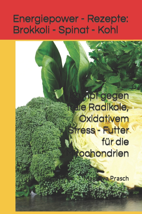 Kniha Energiepower - Rezepte Mag. Eva Prasch