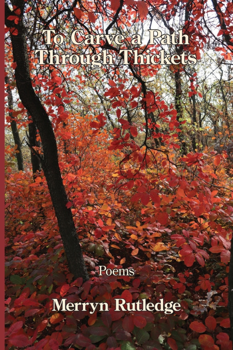 Kniha To Carve a Path Through Thickets Merryn Rutledge