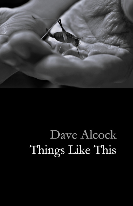 Kniha Things Like This Dave Alcock