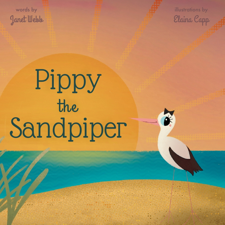 Kniha Pippy the Sandpiper Janet Webb