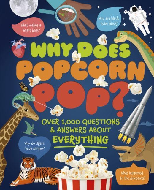 Kniha Why Does Popcorn Pop? Anne Rooney