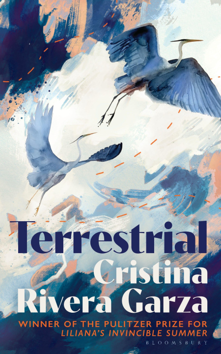 Knjiga Terrestrial Cristina Rivera Garza
