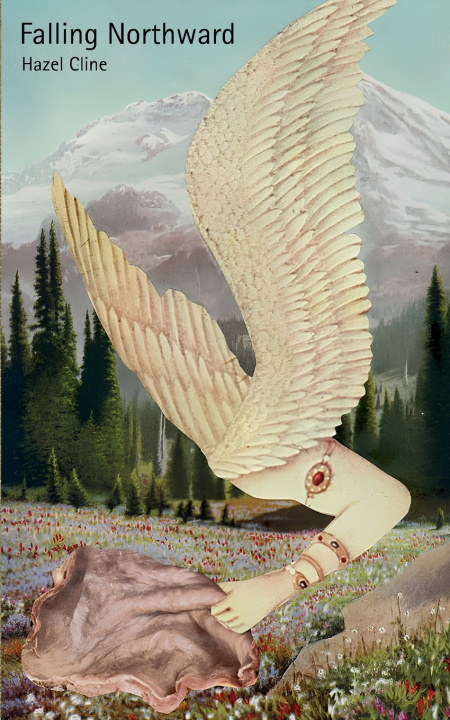 Kniha Falling Northward Hazel Cline