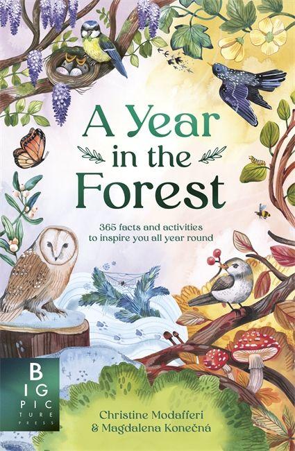 Libro A Year in the Forest Christine Modafferi