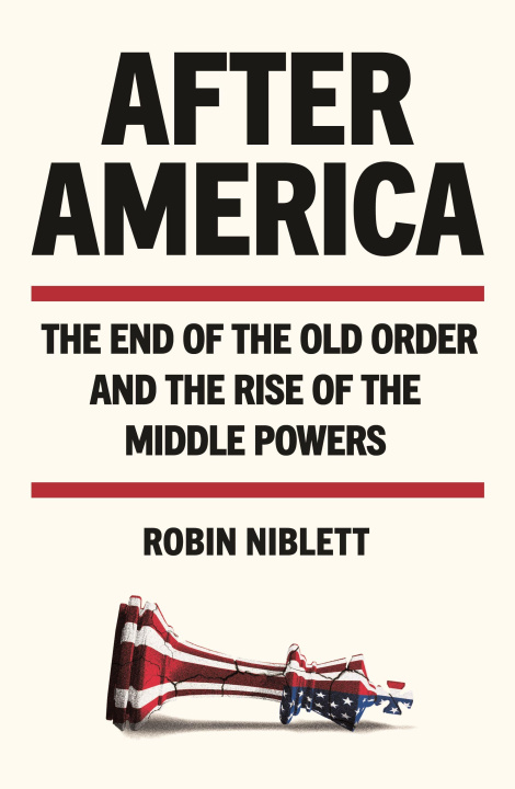 Kniha After America Robin Niblett