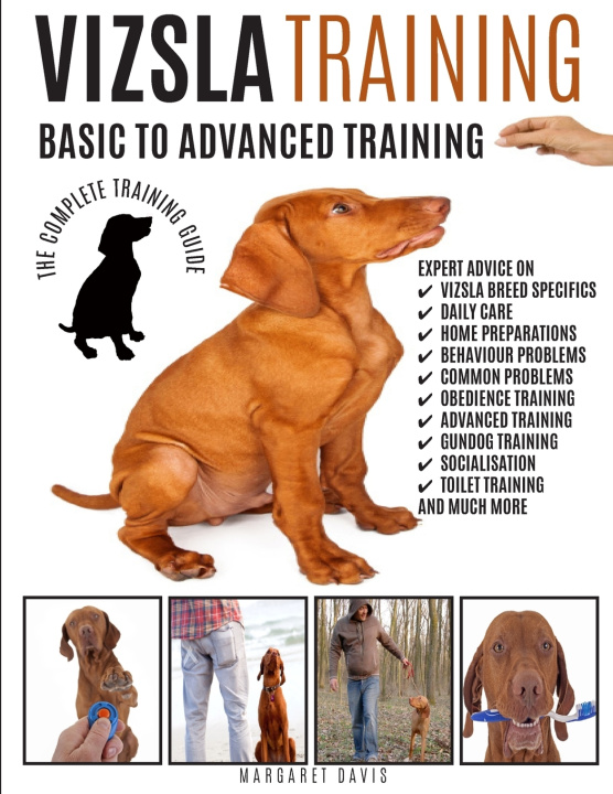 Kniha VIZSLA TRAINING Margaret Davis
