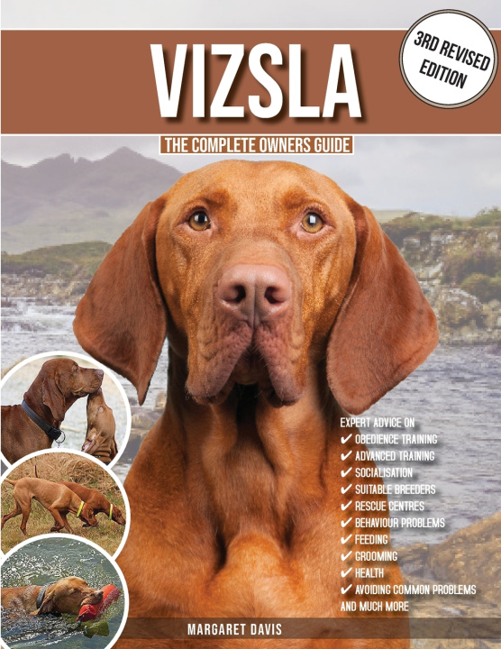 Kniha Vizsla Margaret Davis