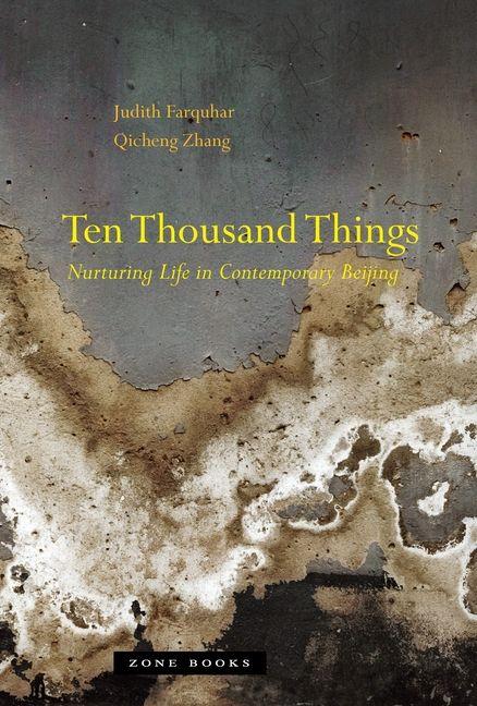 Boek Ten Thousand Things Judith Farquhar