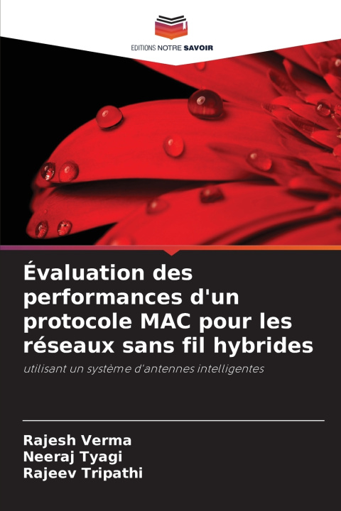 Kniha Évaluation des performances d'un protocole MAC pour les réseaux sans fil hybrides Rajesh Verma