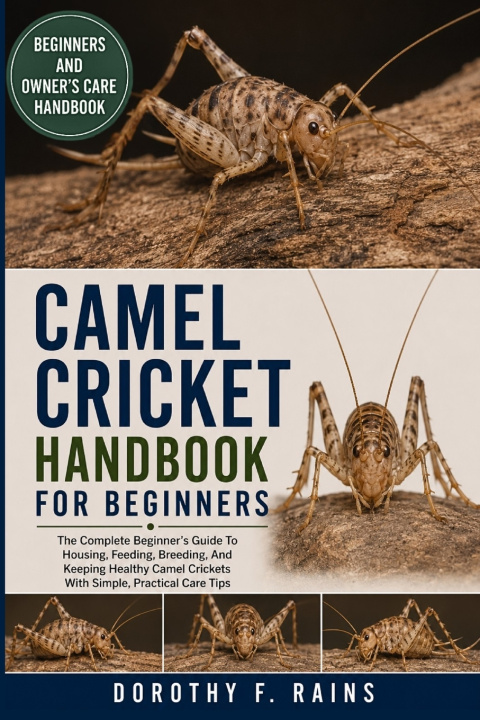 Könyv CAMEL CRICKET HANDBOOK FOR BEGINNERS DOROTHY F. RAINS