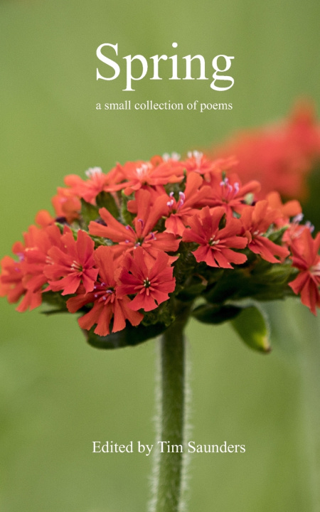 Knjiga Spring Edited by Tim Saunders