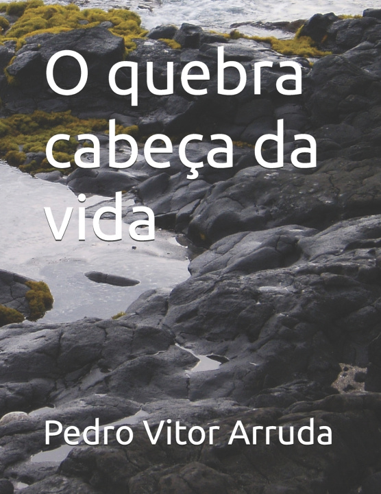 Kniha O quebra cabeça da vida Pedro Vitor Arruda