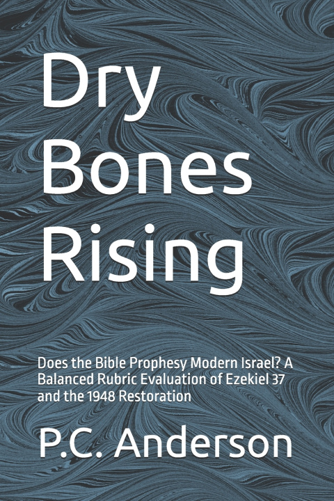 Kniha Dry Bones Rising P.C. Anderson