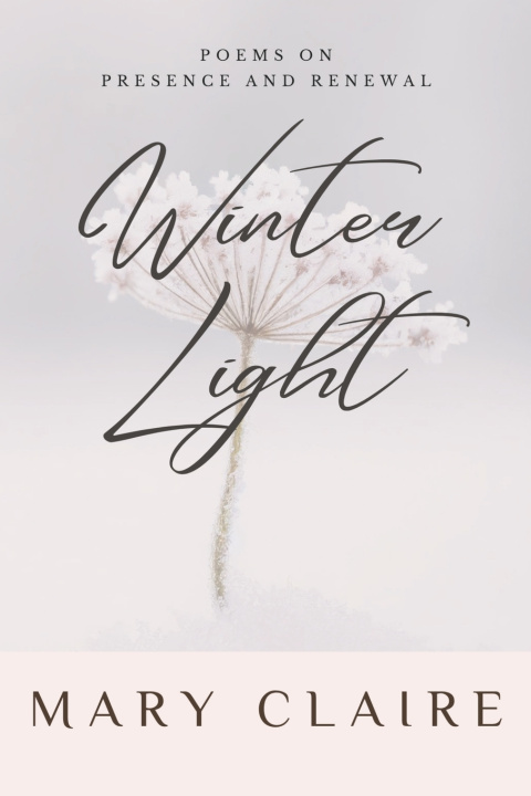 Kniha Winter Light Mary Claire