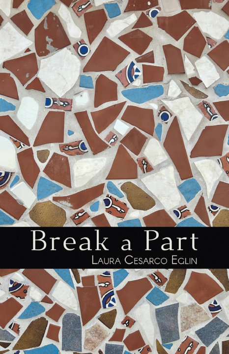 Kniha Break a Part Laura Cesarco Eglin