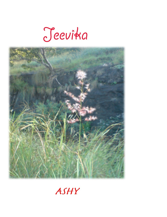 Kniha Jeevika Ashy