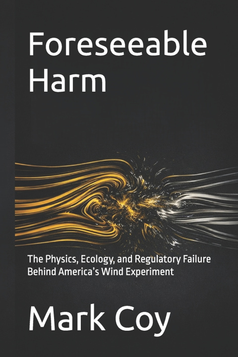 Kniha Foreseeable Harm Mark Coy