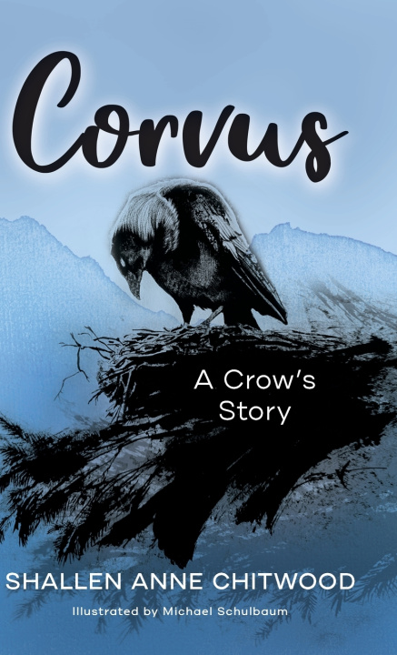 Kniha Corvus Shallen Anne Chitwood