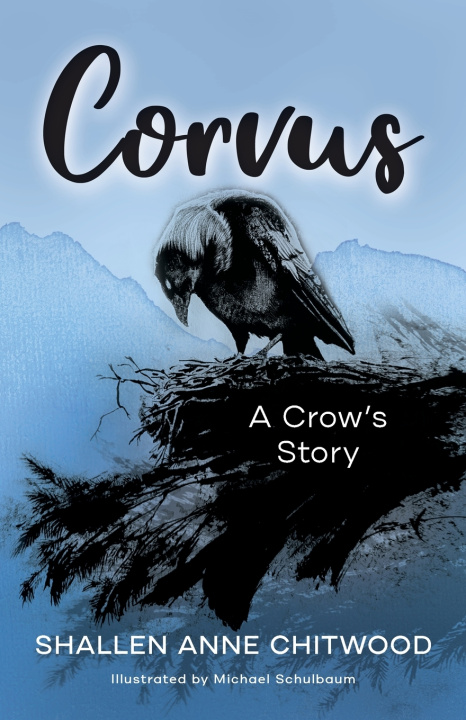 Kniha Corvus Shallen Anne Chitwood