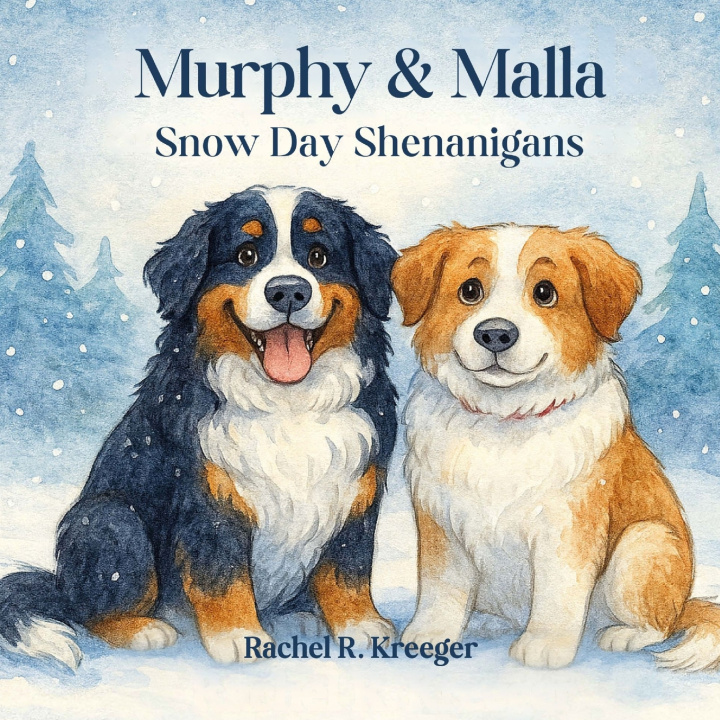 Kniha Murphy & Malla Rachel R Kreeger