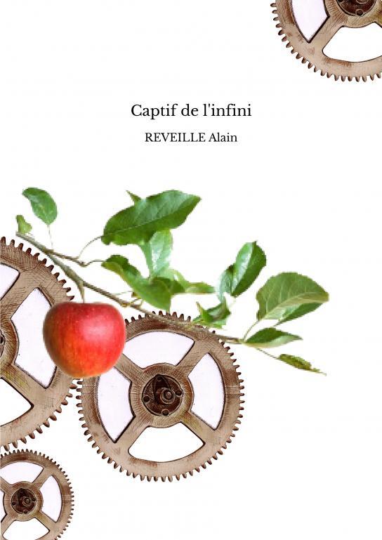 Knjiga Captif de l'infini REVEILLE Alain