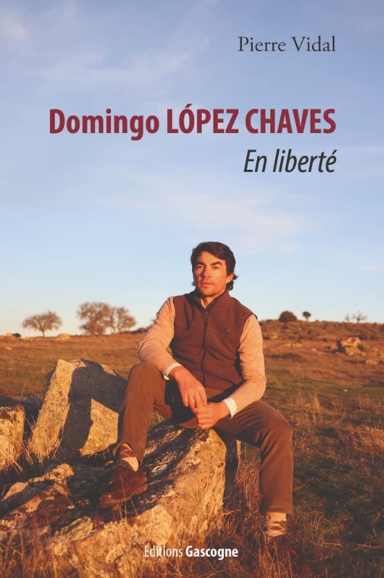 Knjiga Domingo Lopes Chaves Vidal