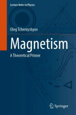 Buch Magnetism Oleg Tchernyshyov