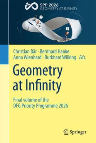 Kniha Geometry at Infinity Christian Bär