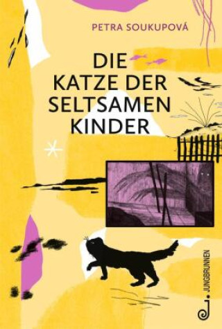 Boek Die Katze der seltsamen Kinder Petra Soukupová