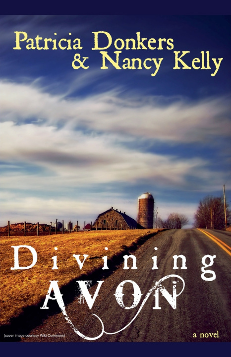 Kniha Divining Avon Patricia Donkers