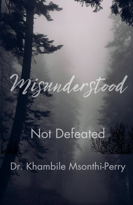Knjiga Misunderstood, Not Defeated Dr. Perry