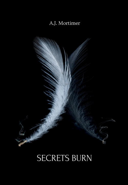 Knjiga Secrets Burn A J Mortimer