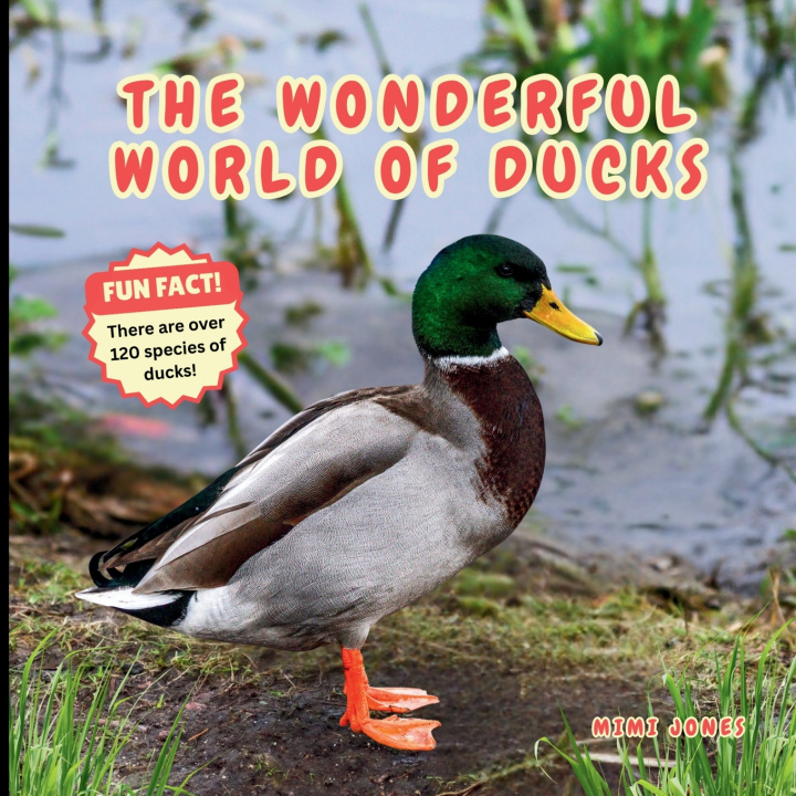 Knjiga The Wonderful World of Ducks Mimi Jones