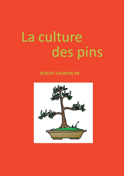 Kniha CULTURE PINS GRANDJEAN BENOIT