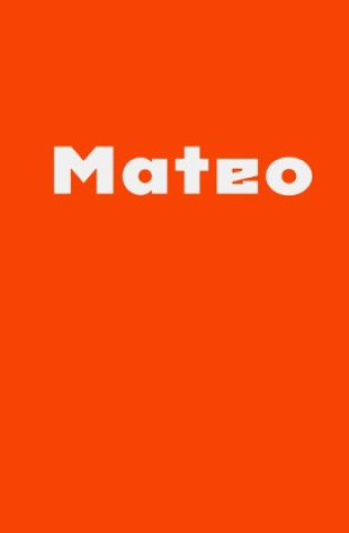 Book Mateo Martin Baucks