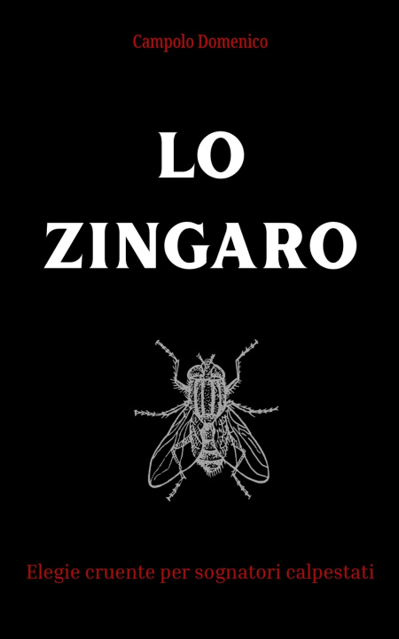 Kniha Lo Zingaro Domenico Campolo
