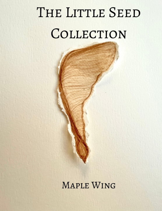 Kniha Maple Wing Tess Arianna Tilghman